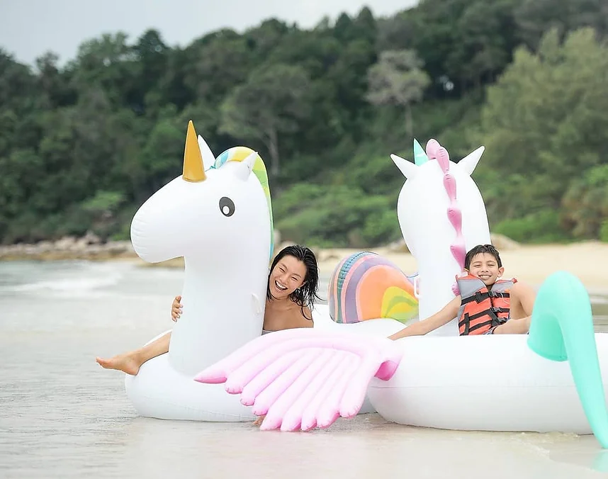 fcde2b_7935df1618ef45409ac649fb9c0dad74_mv2